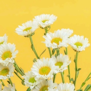 الله معك,فُـ لاتحزن🌻💛. (@a_i28llx)