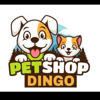Petshop_dingo (@petshop_dingo)