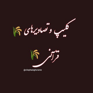 کلیپ و تصاویرهای قرآنی (@cliephaieghoranie)