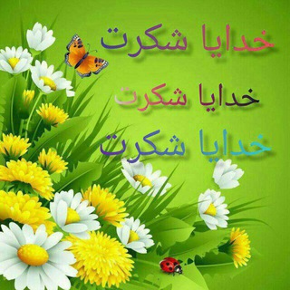 کانال شکر گزاری وپاکسازی (@shokrane01)