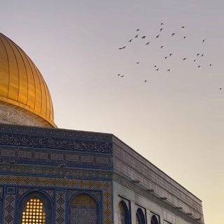 أثر جميل قبل الرحيل🩷✨. (@athr45729)